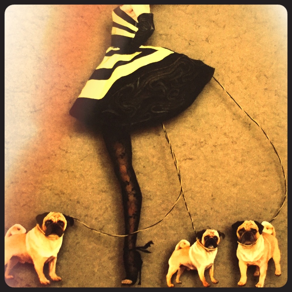 Unique Fashion Accessories